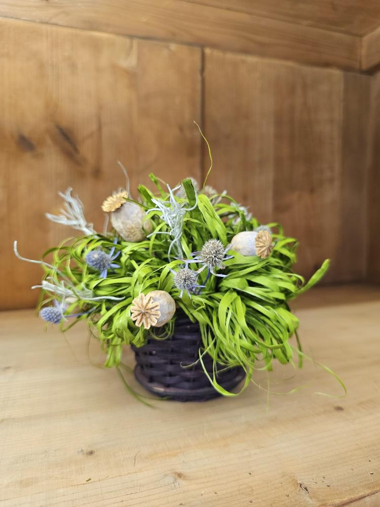 Sušená květina v květináči