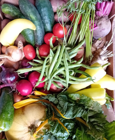 Zeleninová bedýnka maxi - cca. 10-12 kg